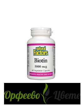 ХРАНИТЕЛНИ ДОБАВКИ Висок холестерол  Biotin/ Биотин 5000 µg * 60 капсули